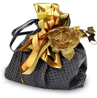 Bag Panettone