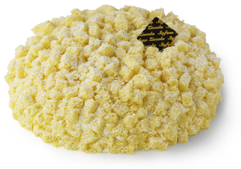 Mimosa